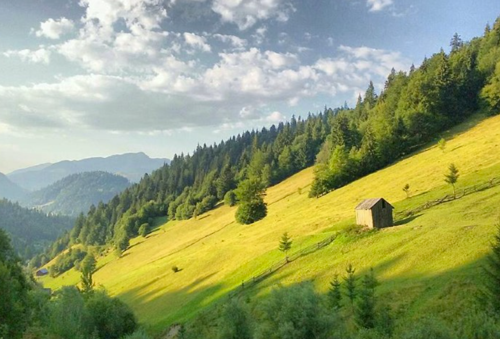 romaniawire com